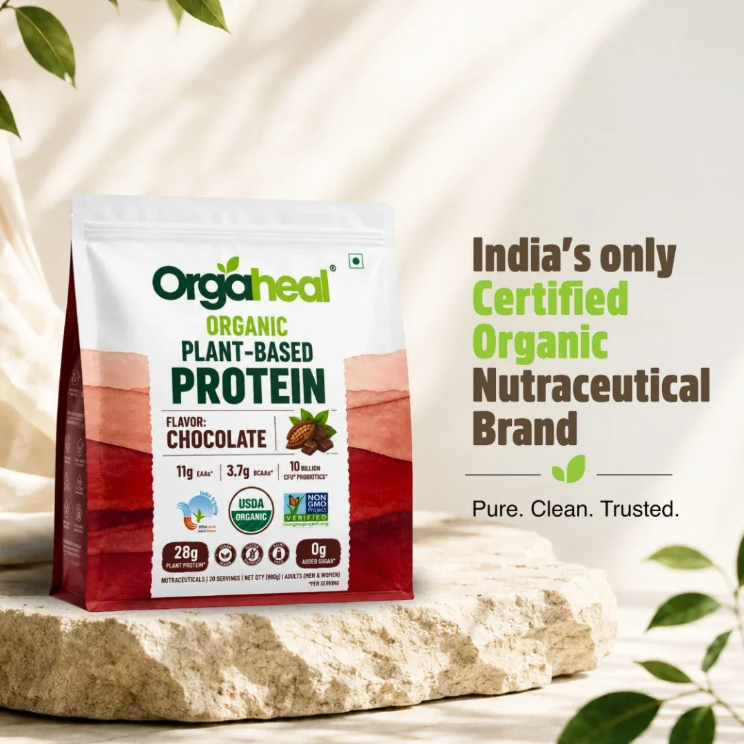 Organic Plant Based Protein Powder Chocolate
