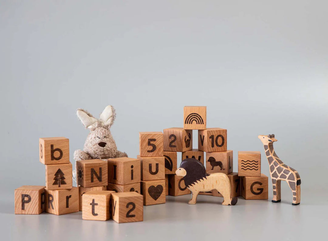 BIRCH & BUG Learning Blocks Set of 26