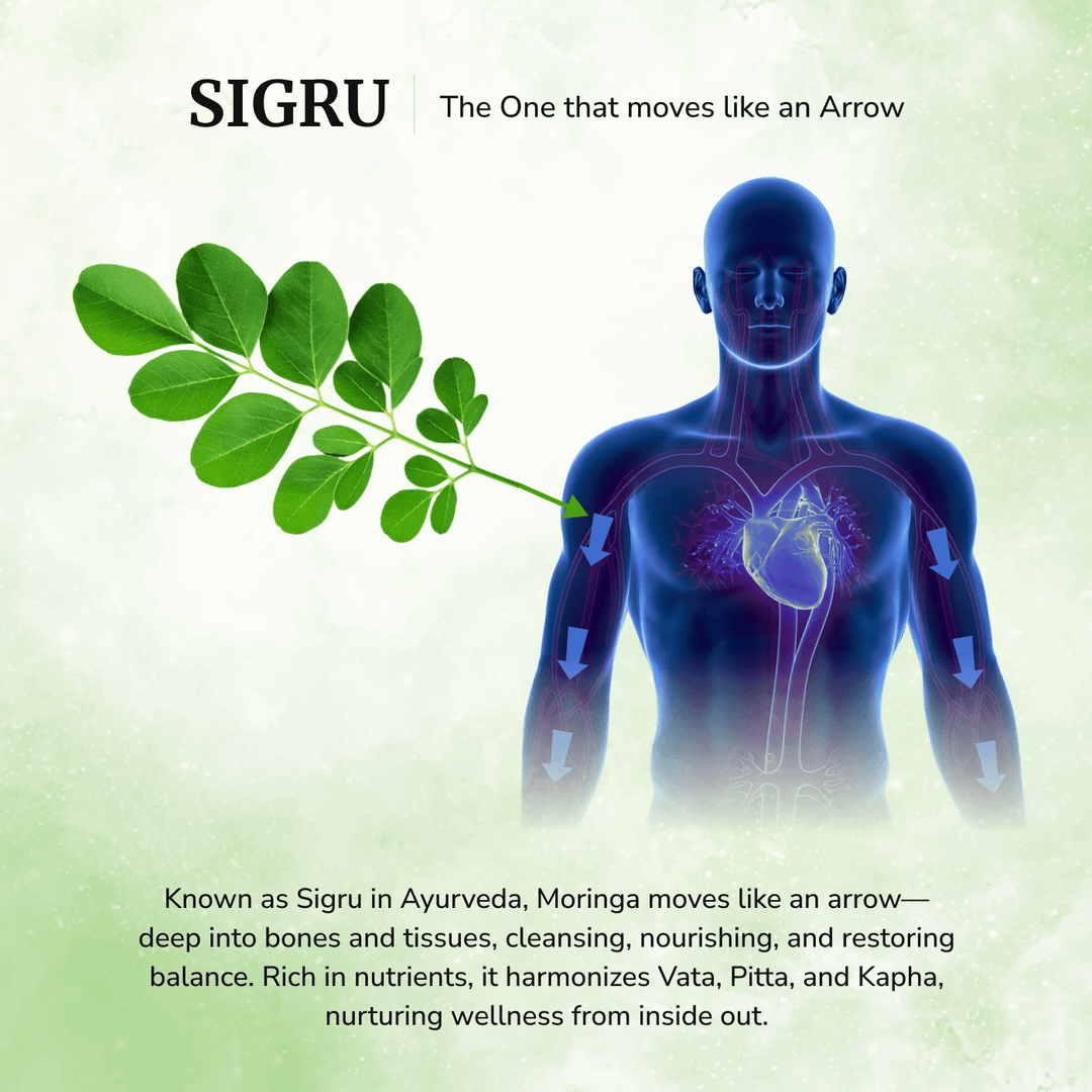 Daivik Moringa Miracle Moringa Powder