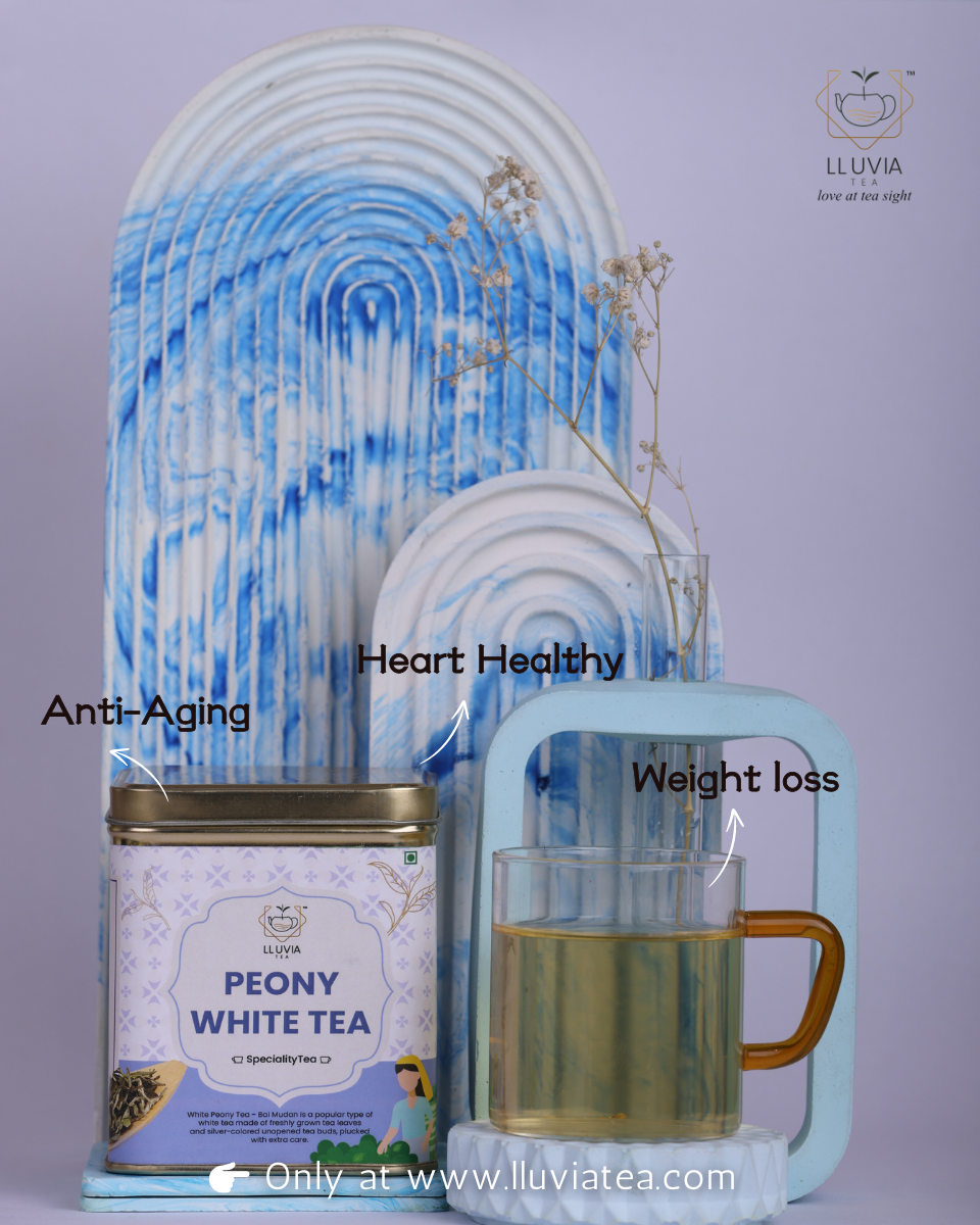 Lluvia Tea Peony White Tea - Rich in Antioxidants | Weight Loss | Improves Blood Circulation (50gm)