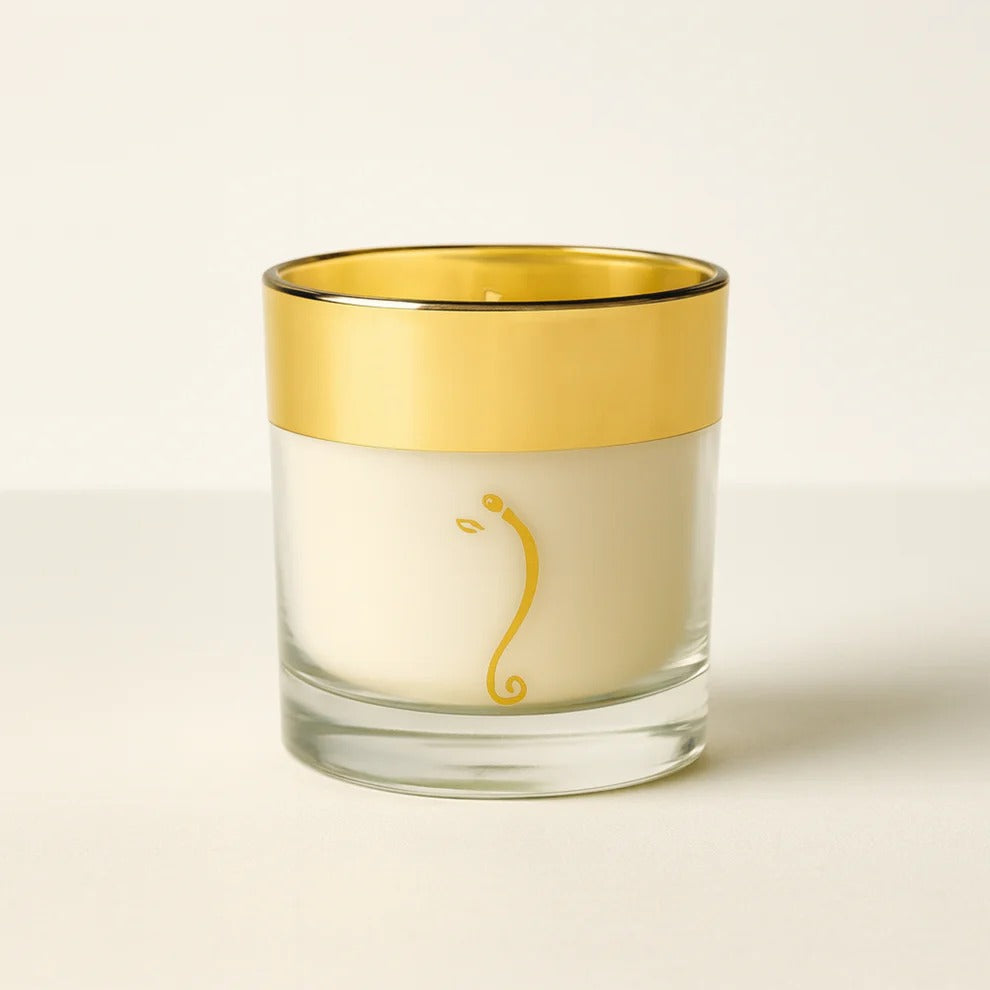 Diwali Gift Hampers for Corporate – Shubh Deep Ganesh Ji Candle – The Bamboo Bae
