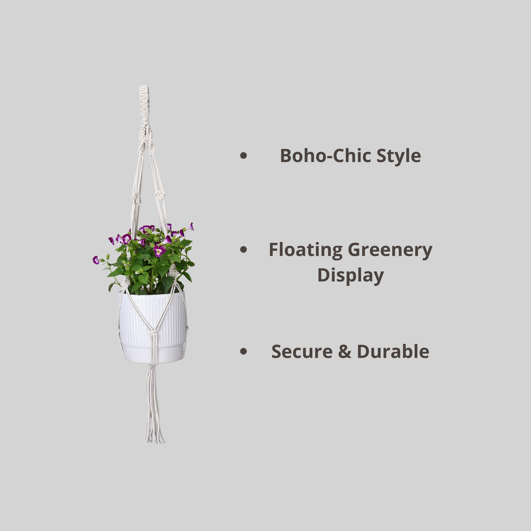 OIKO Macrame Cotton Plant Hanger Stylish Boho Hanging Planter for Home & Garden Pack of 2