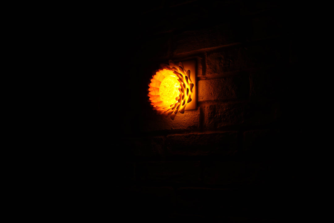 Eclectic Daisies Wall Lamp | Designer LED Wall Light