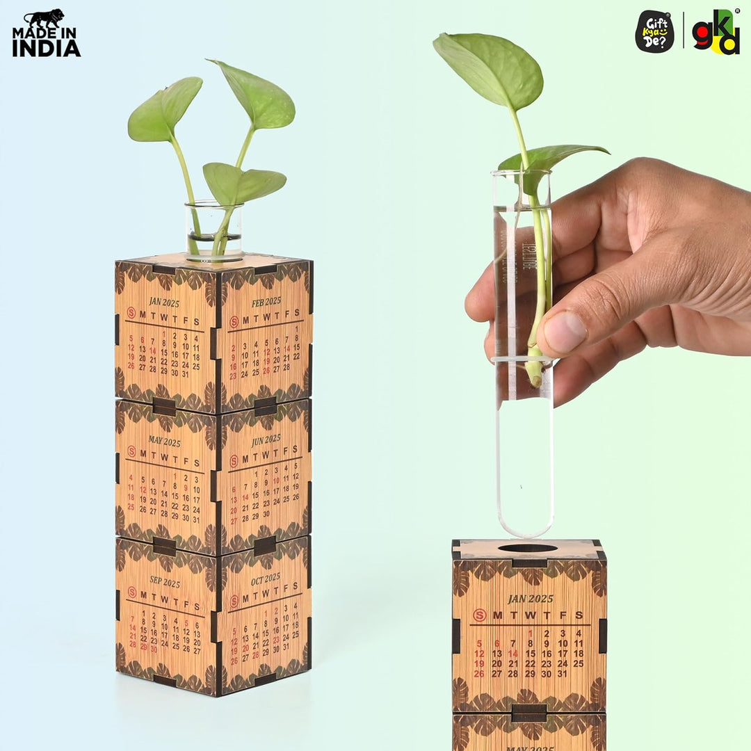 Gift Kya De 3-Cube Wooden Desk Calendar 2025 with Test Tube Planter | Desk Organizer for Home, Office & Corporate Gifting