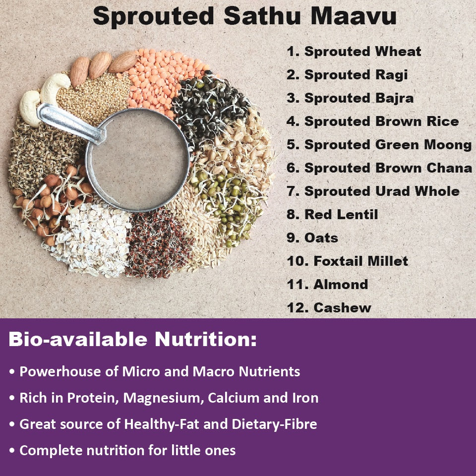 TummyFriendly Foods Organic Sprouted Porridge Mix | Sathu Maavu | No Additives |