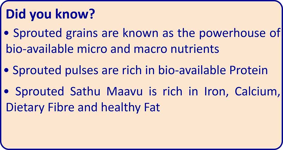 TummyFriendly Foods Organic Sprouted Porridge Mix | Sathu Maavu | No Additives |