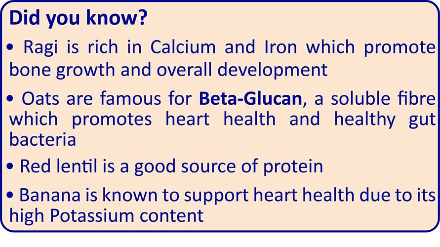 TummyFriendly Foods Organic Sprouted Porridge Mix | Ragi, Oats, Red Lentils, Banana | No Additives