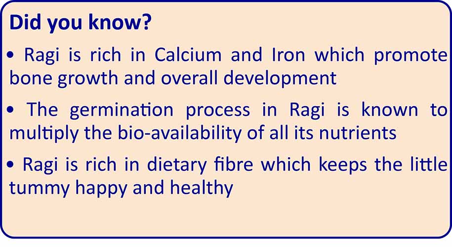 TummyFriendly Foods Organic Sprouted Ragi Porridge Mix | No Chemicals | 6 months and up