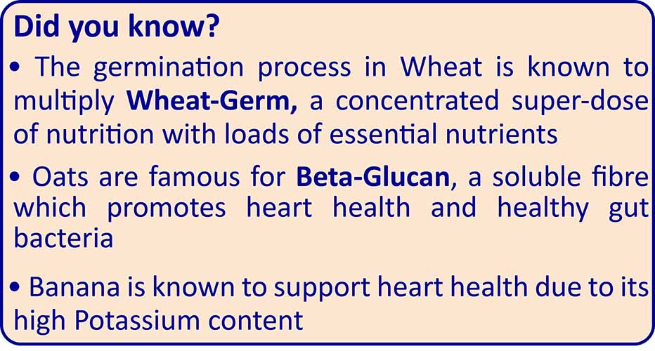 TummyFriendly Foods Organic Sprouted Porridge Mix | Multigrain, Fruits, Vegetables | No Additives