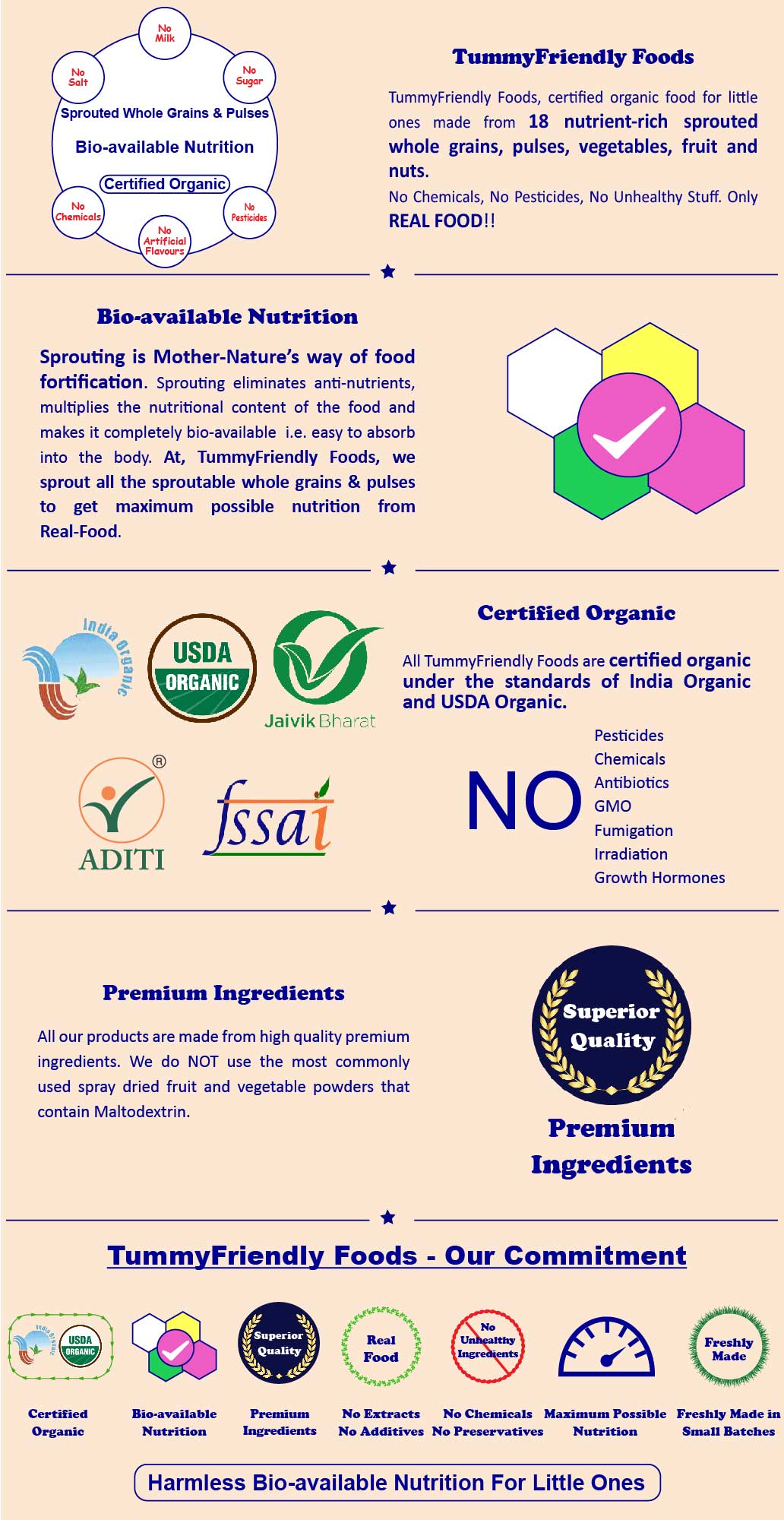 TummyFriendly Foods Organic Sprouted Porridge Mix | Multigrain, Fruits, Vegetables | No Additives