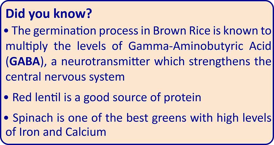 TummyFriendly Foods Organic Sprouted Porridge Mix | Brown Rice, Red Lentil, Spinach, Green Peas | No Additives | 200g