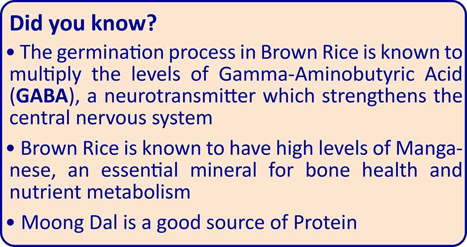 TummyFriendly Foods Organic Sprouted Porridge Mix | Brown Rice, Moong Dal | No Additives | 200g