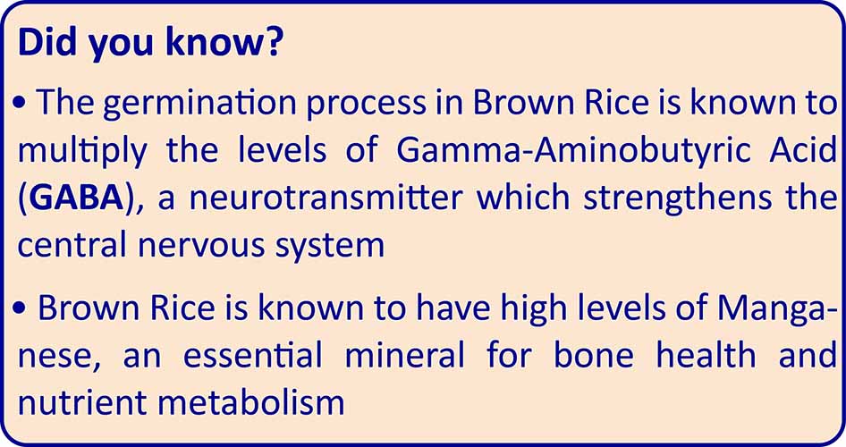 TummyFriendly Foods Organic Sprouted Brown Rice Porridge Mix | No Chemicals | 200g