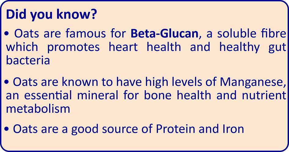 TummyFriendly Foods Organic Oats Porridge Mixes | Multigrain, Multimillet, Vegetables | 50g each (Trial Pack of 3)