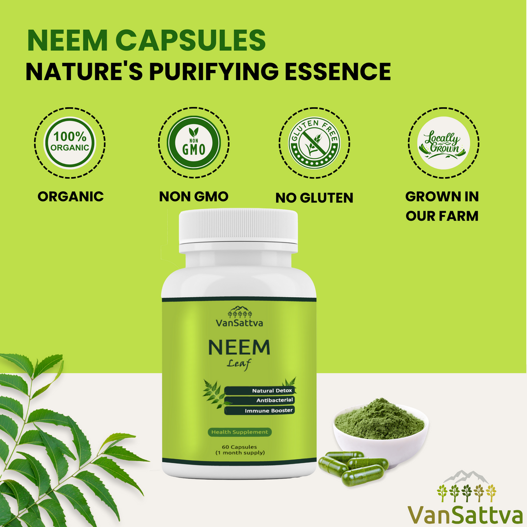 Vansattva Neem Capsules 650mg – Natural Skin & Blood Purifier Support – Herbal Detox & Immunity Support – Veg Capsules – 60 Count – Made in India