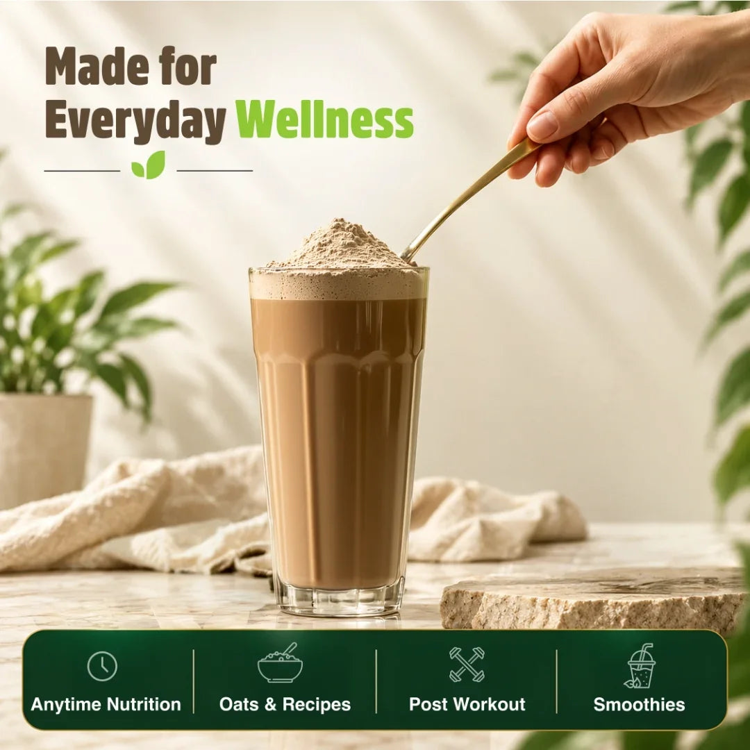 Organic Plant Based Protein Powder Chocolate