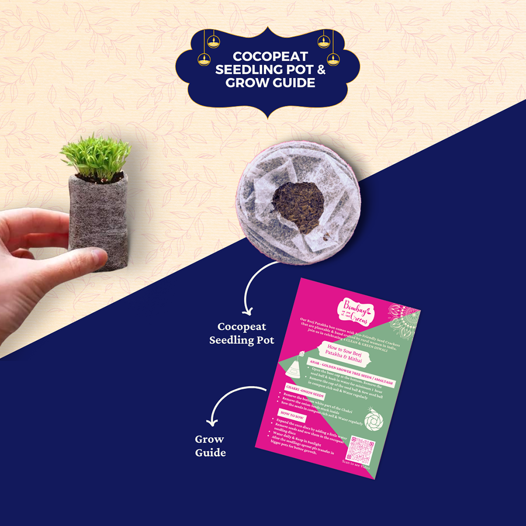 Bombay Greens 5 in 1 Rangoli Hamper