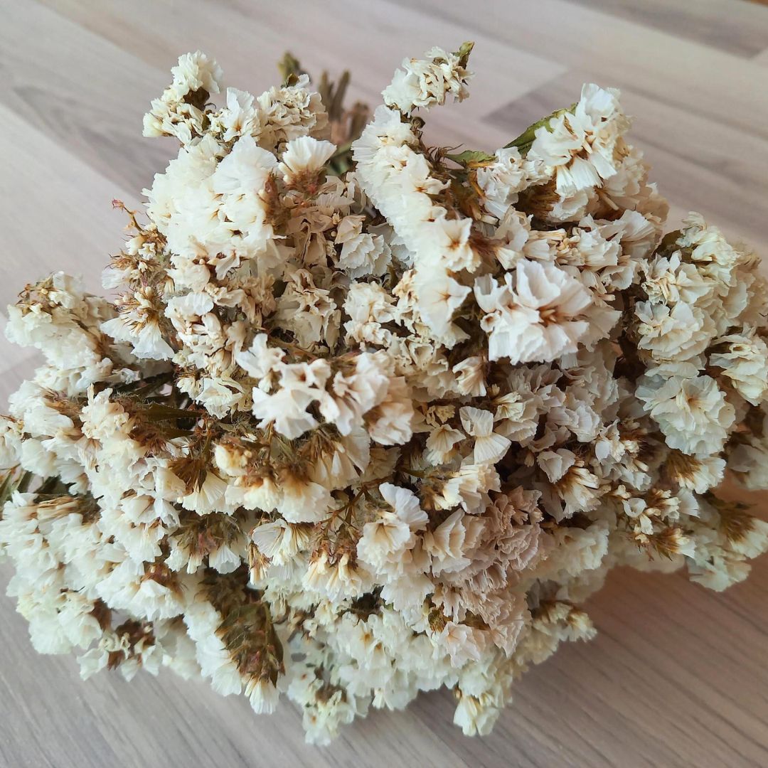 Muun Home Natural Dried Statice Flower Bunch