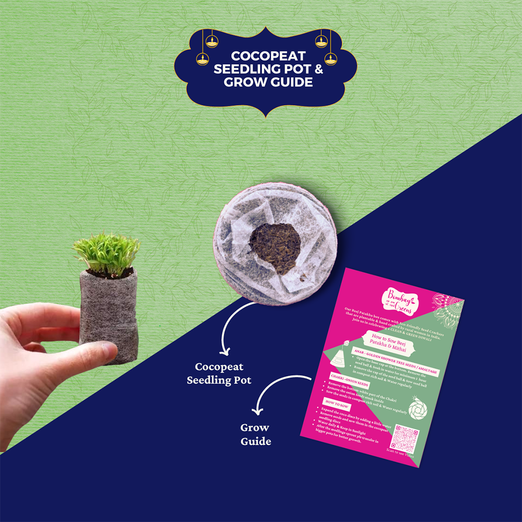 Bombay Greens Green Decor Planter Hamper