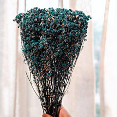 Royal Blue Baby Breath Dried Flowers