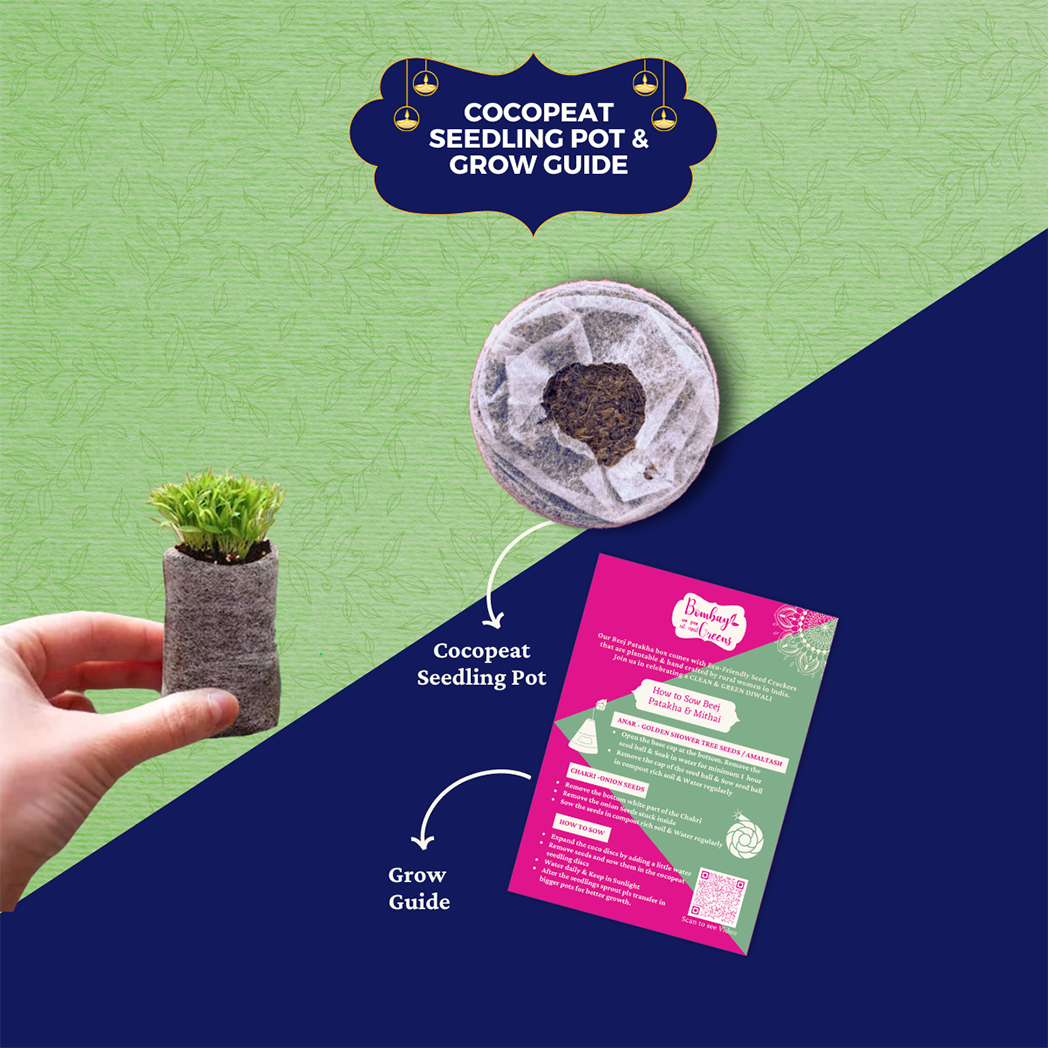 Bombay Greens Eco-Love Celebration Hamper