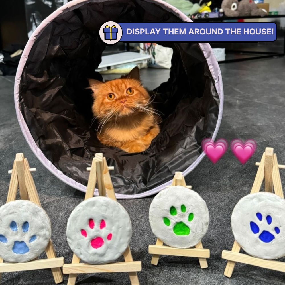 DIY Paw Printing Kit
