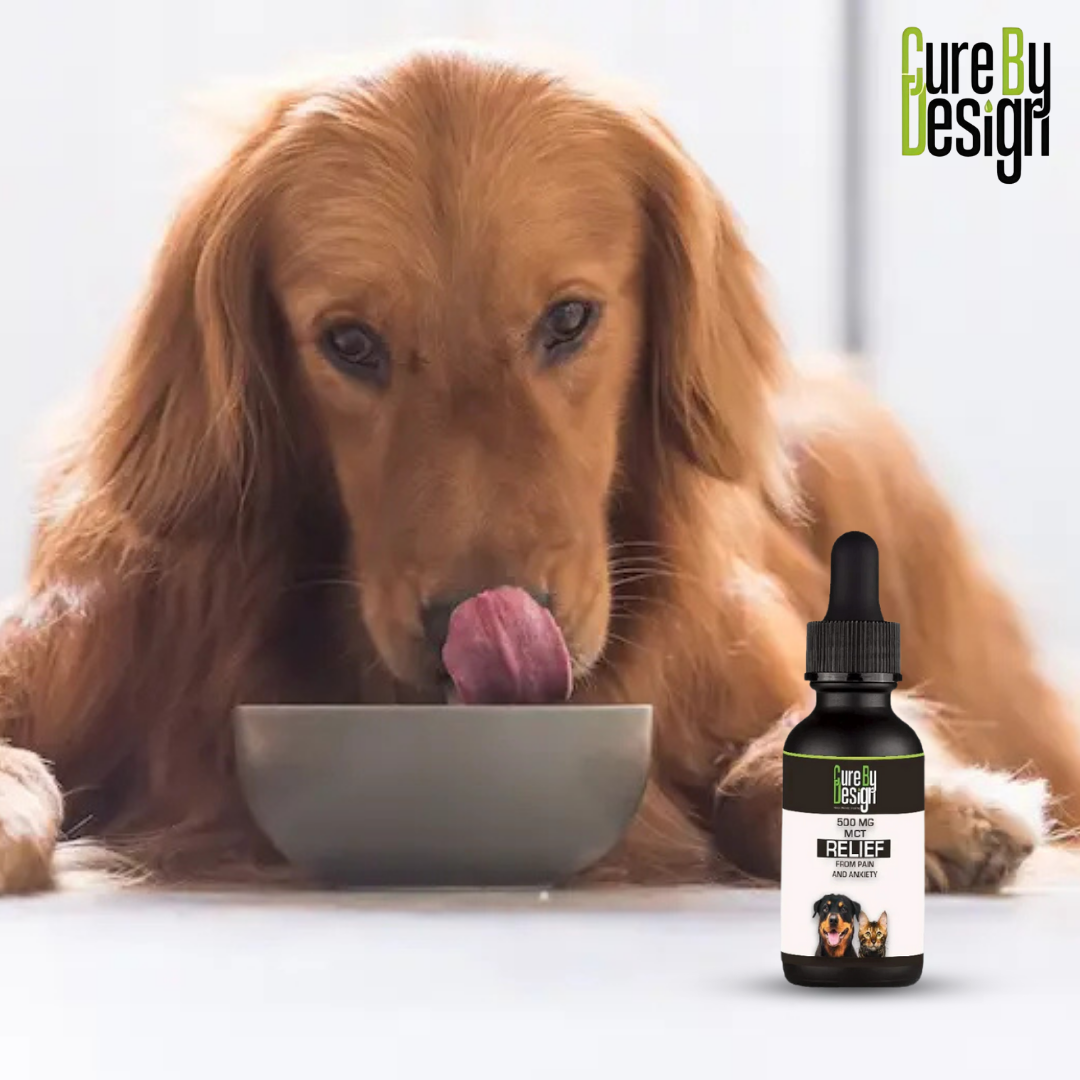 Best Pet Care Product.png