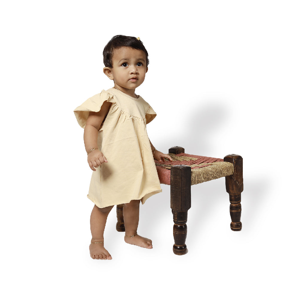 BabbleTym A-Line Frock With Butterfly Sleeves