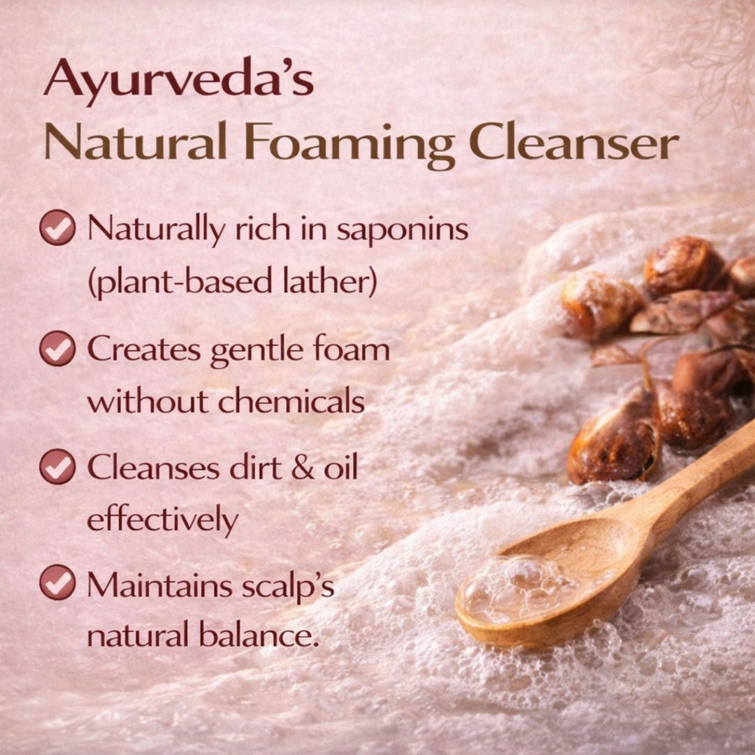 Pure Nutrition Aritha Powder (Sapindus Mukorossi) – Natural Herbal Hair Cleanser
