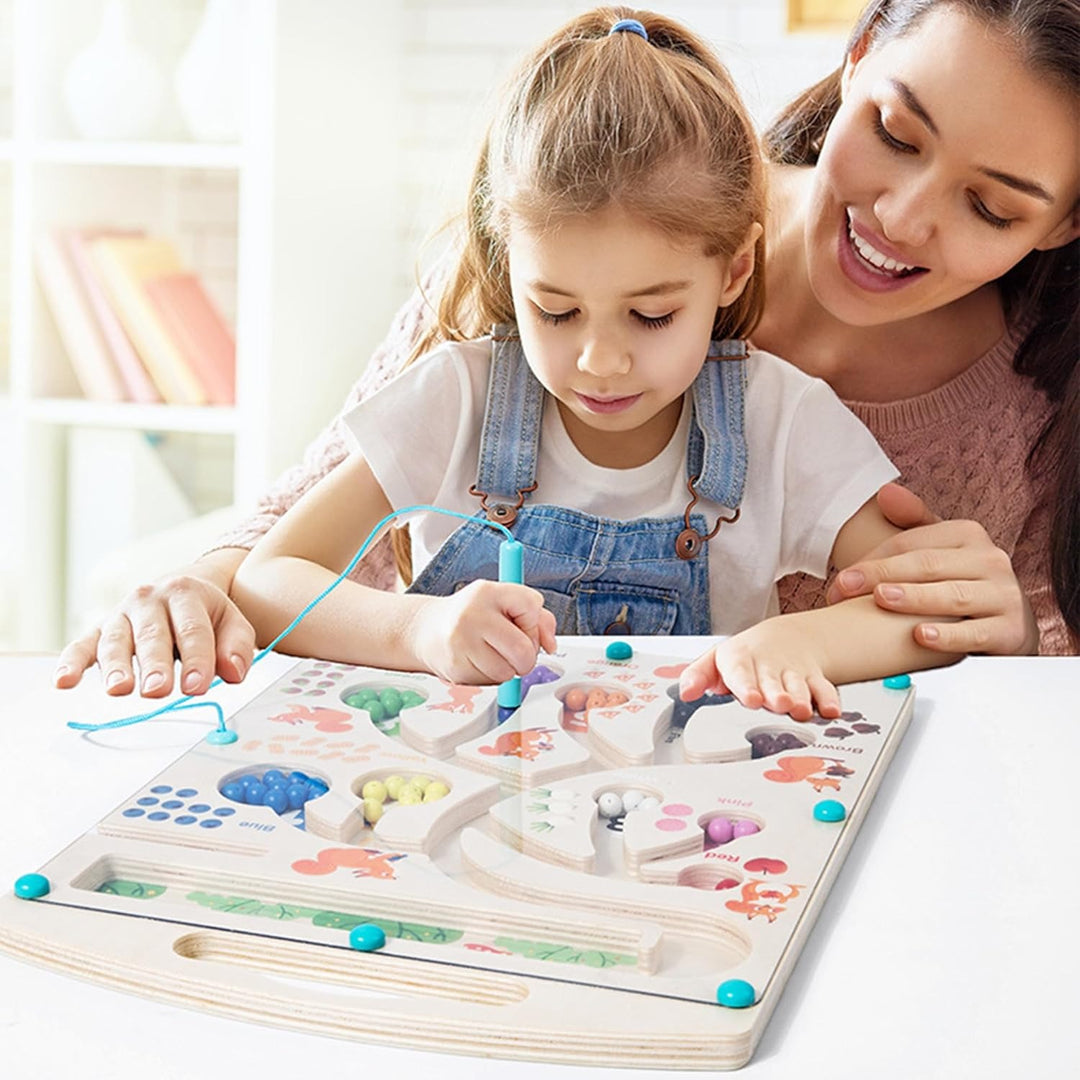Wudly Wooden Magnetic Colour & Number Sorting Maze Board