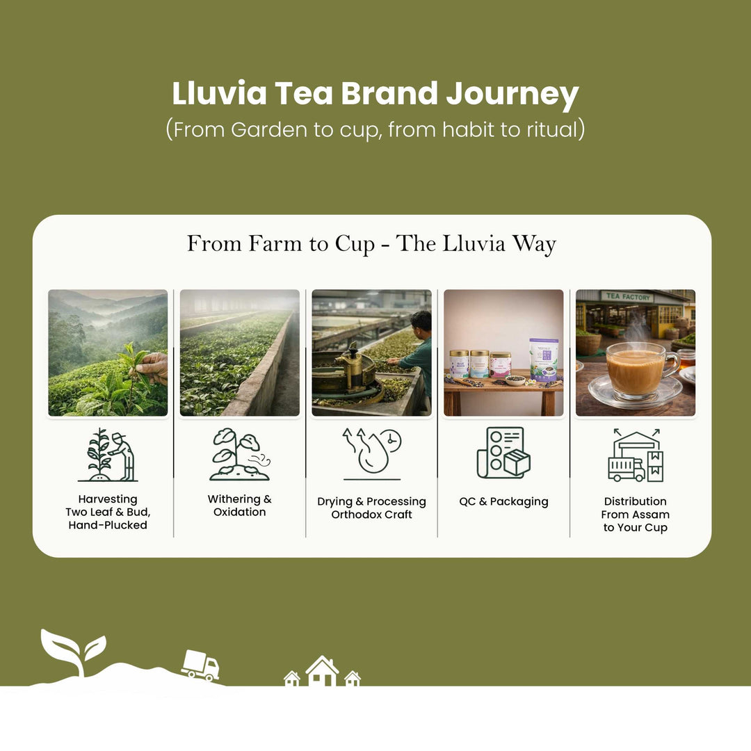 Lluvia Tea Oolong Tea - Boosts Energy | Weight Loss | Improves Skin Health (50gm)