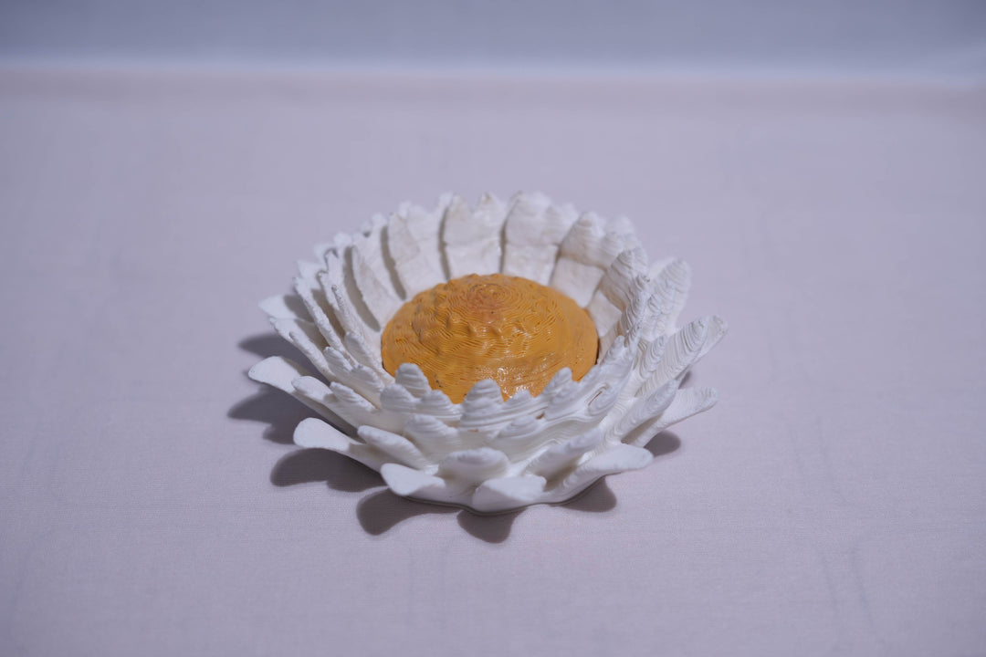 Eclectic Daisies Wall Lamp | Designer LED Wall Light