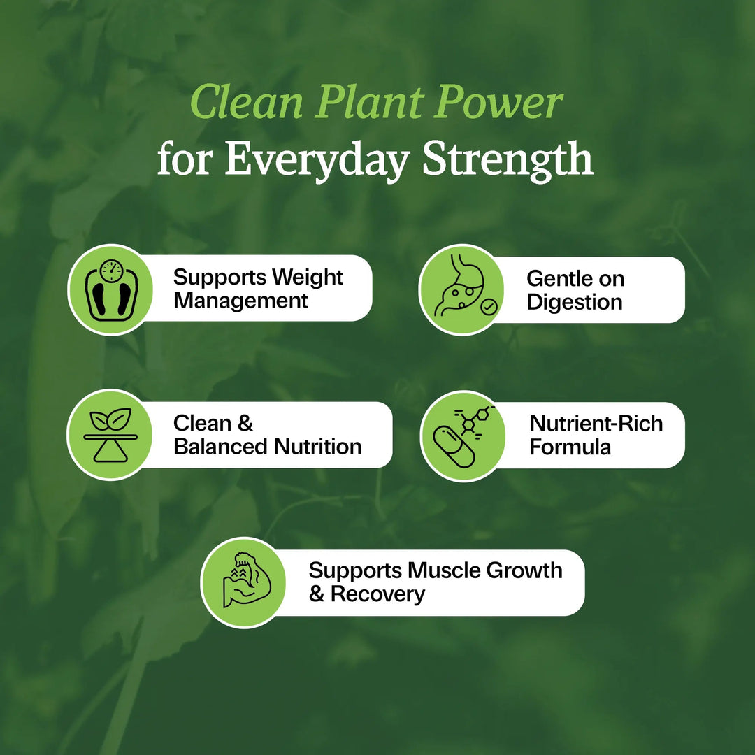 Organic Plant-Based Protein Chocolate