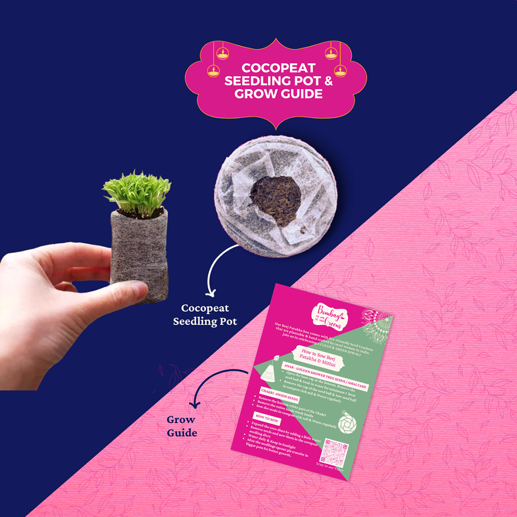 Bombay Greens Diwali Decor Hamper