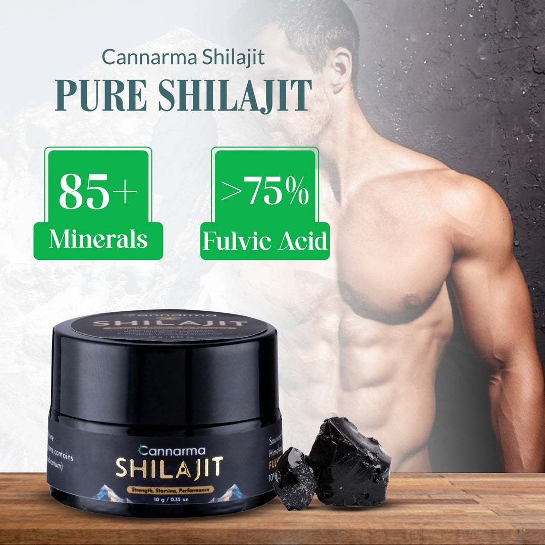 Cannarma Shilajit | Helps in Boosting Stamina | Contains Natural Resin | 100% Ayurvedic (10 g)