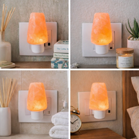 ONEarth Compact Rock Himalayan Salt Lamp | Plug-In
