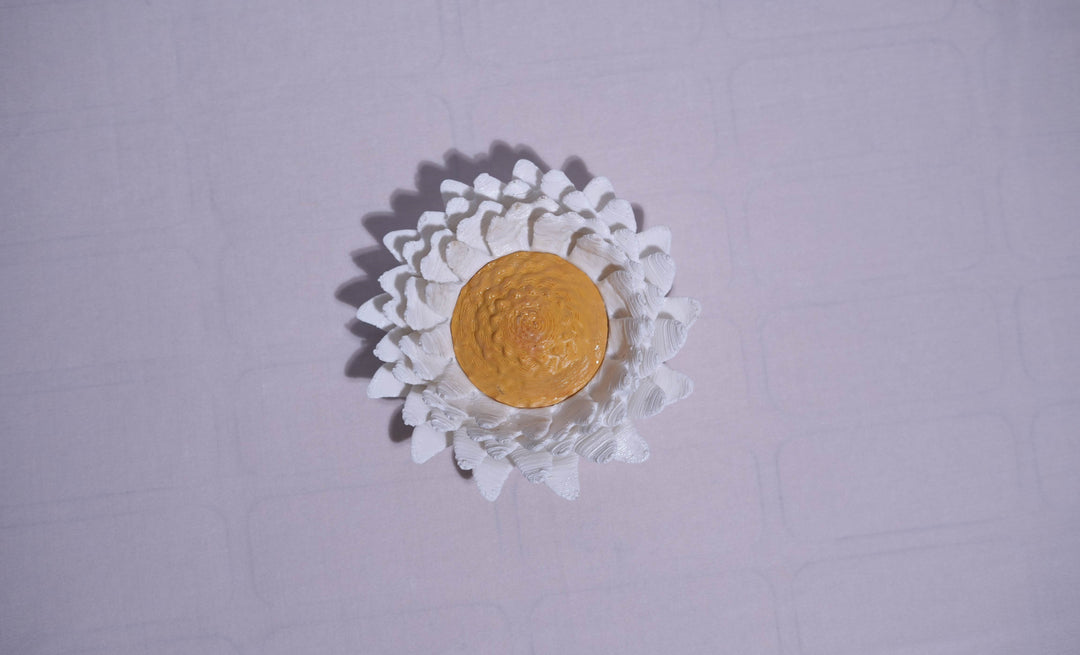 Eclectic Daisies Wall Lamp | Designer LED Wall Light