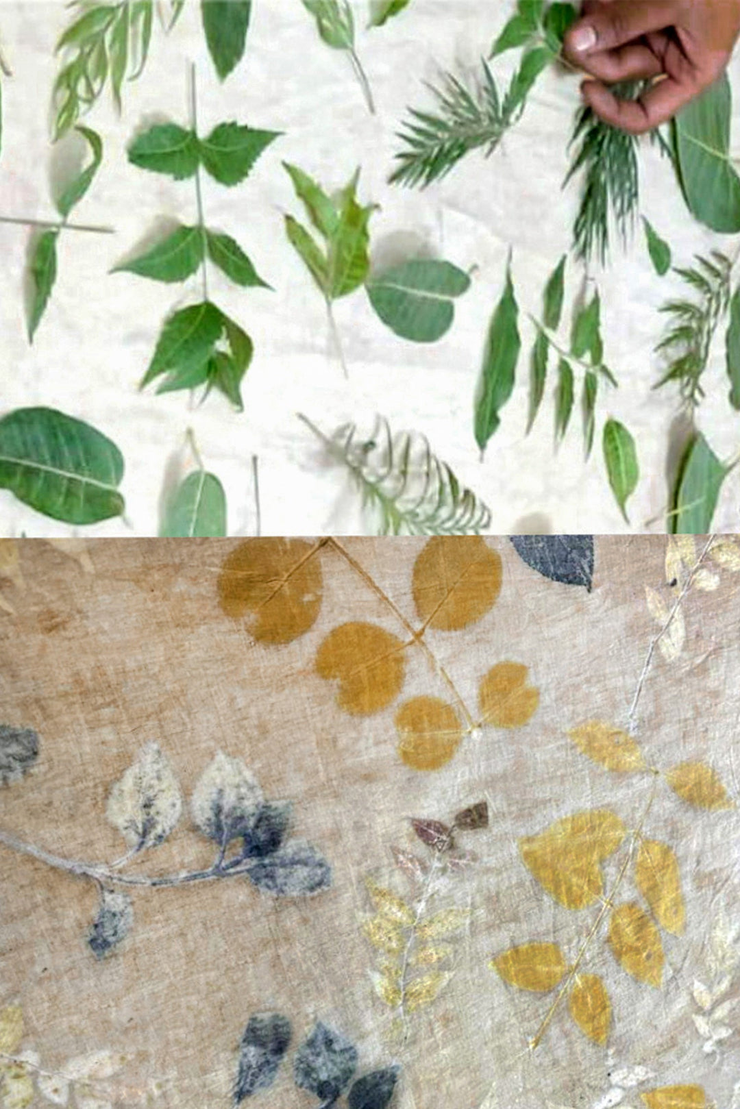 Adam Leaves Bilvaa - Men’s Hemp Blazer