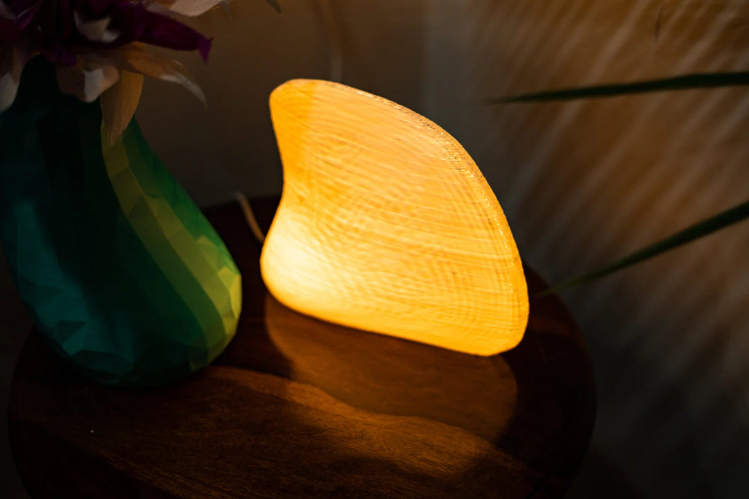 Albino Clam Table Lamp | Designer LED Table Light