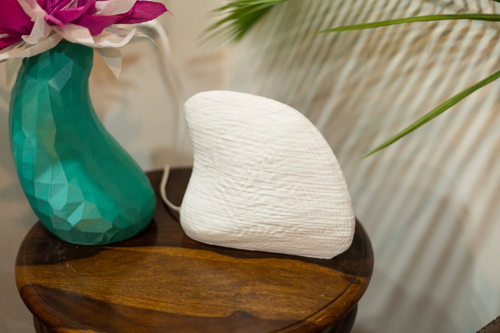 Albino Clam Table Lamp | Designer LED Table Light