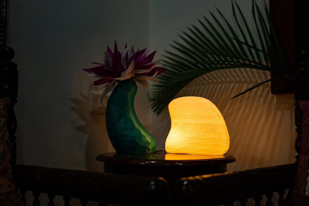 Albino Clam Table Lamp | Designer LED Table Light