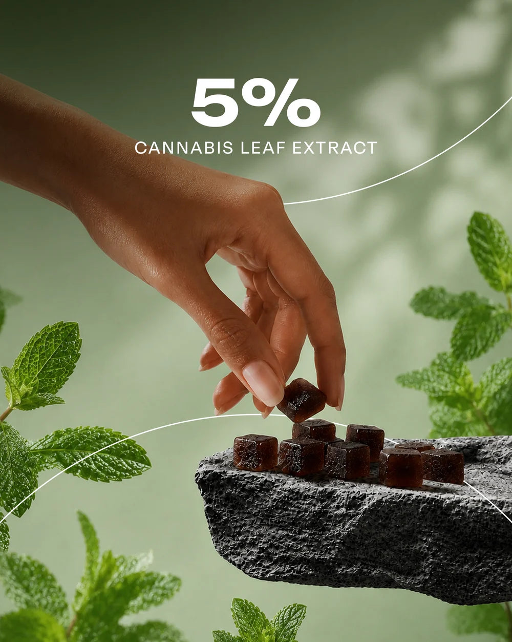 The Trost Kosha (Mint Flavor) Cannabis Gummies (Mriduvati) - 5% Cannabis Extract