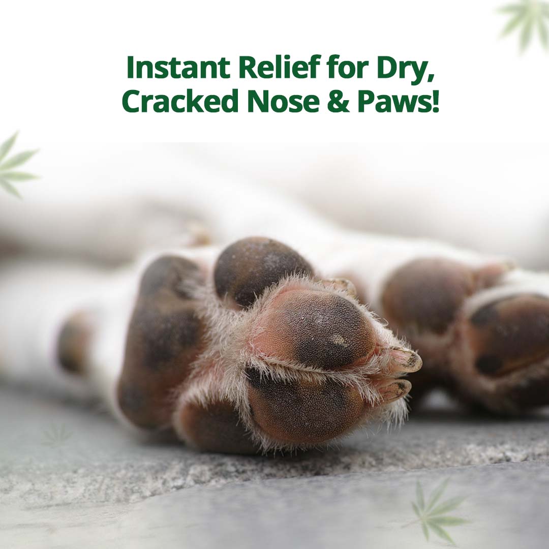 Pet-Safe Balm with Hemp - Relief for Cracked Paws