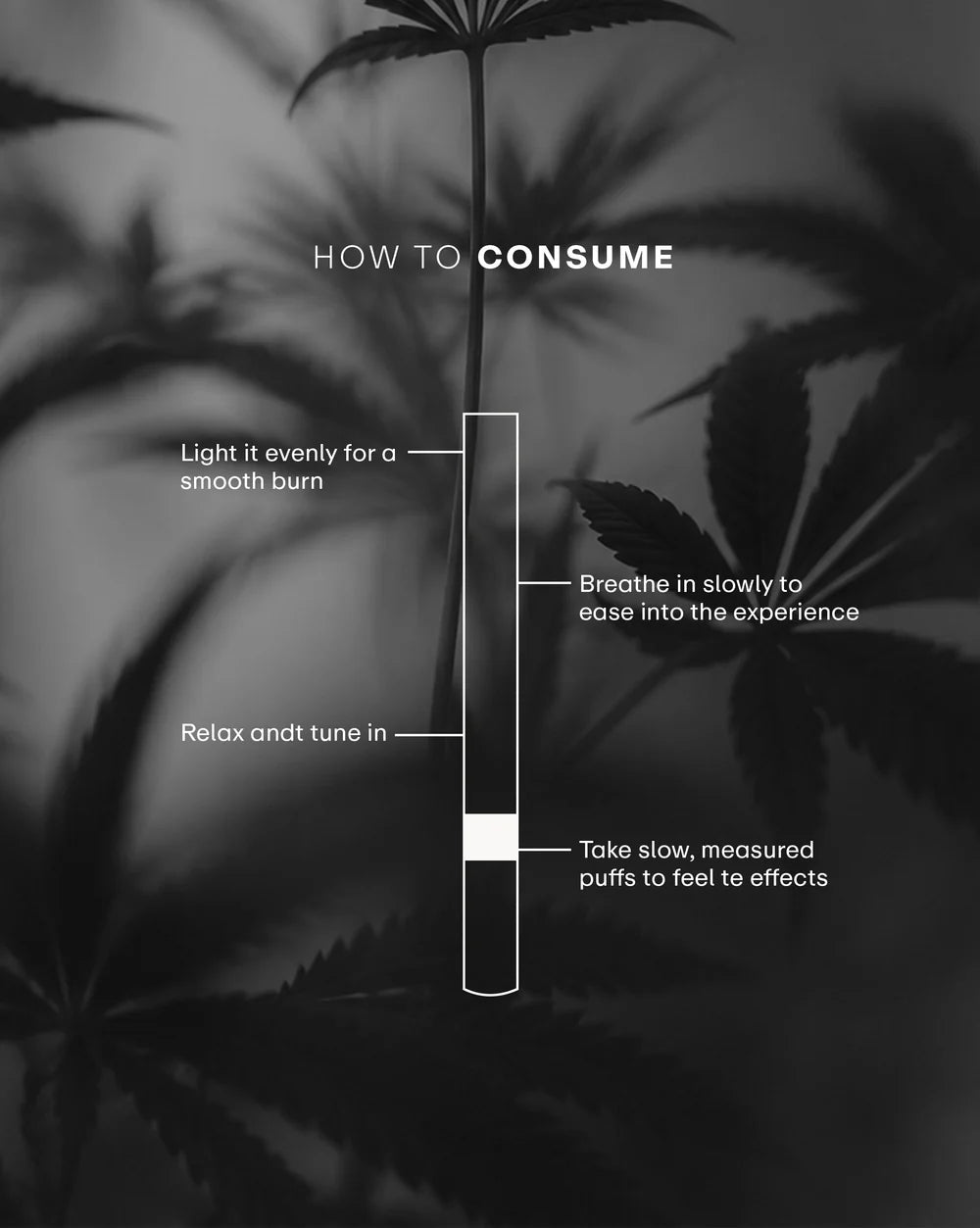 The Trost Rollens Hemp Herbal Cigarettes - Boom