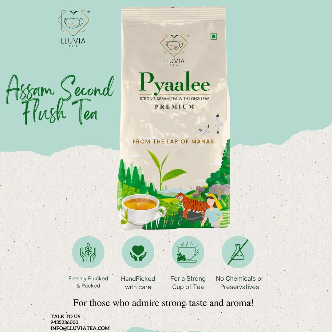 Lluvia Tea Pyaalee Premium Assam Black Tea - CTC