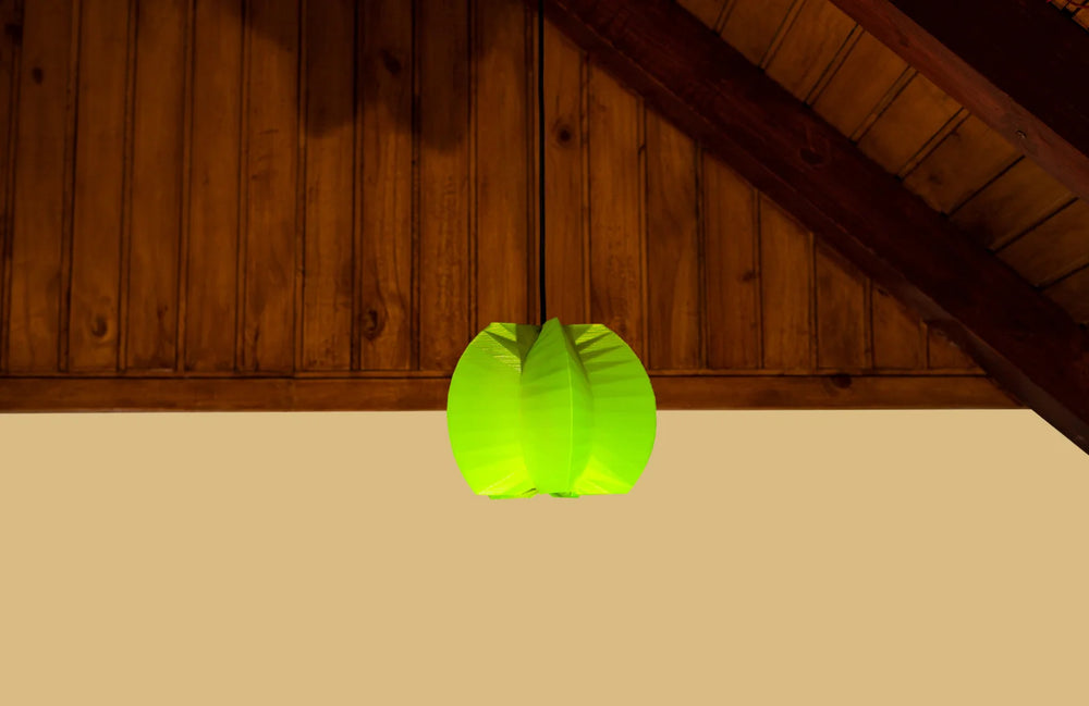Averrhoa's Star Pendant Lamp | Designer Hanging Light