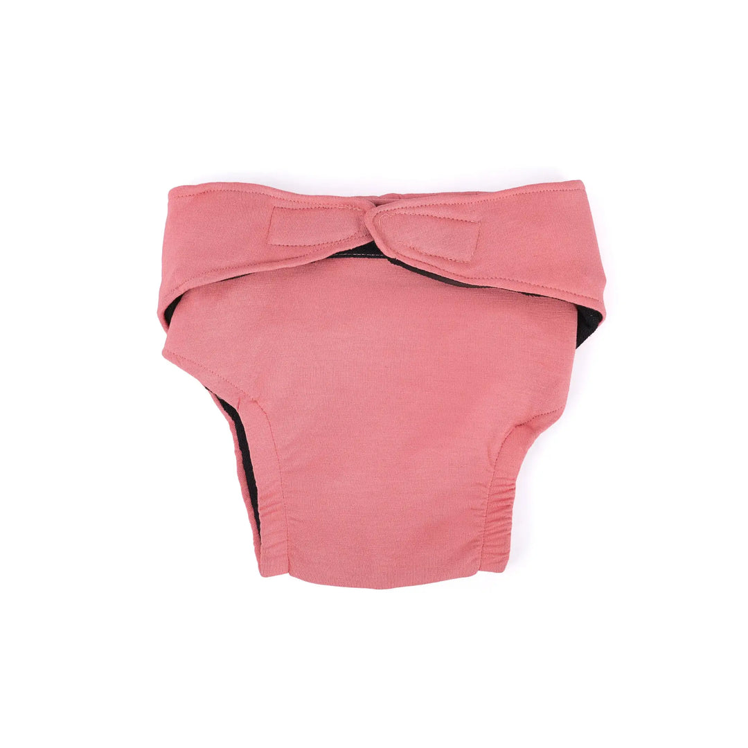 Bamboo Fabric Kids Baby Diaper, Eco-Friendly and Soft | Pack of 2 | 1 Free Size Liner for Extra Comfort