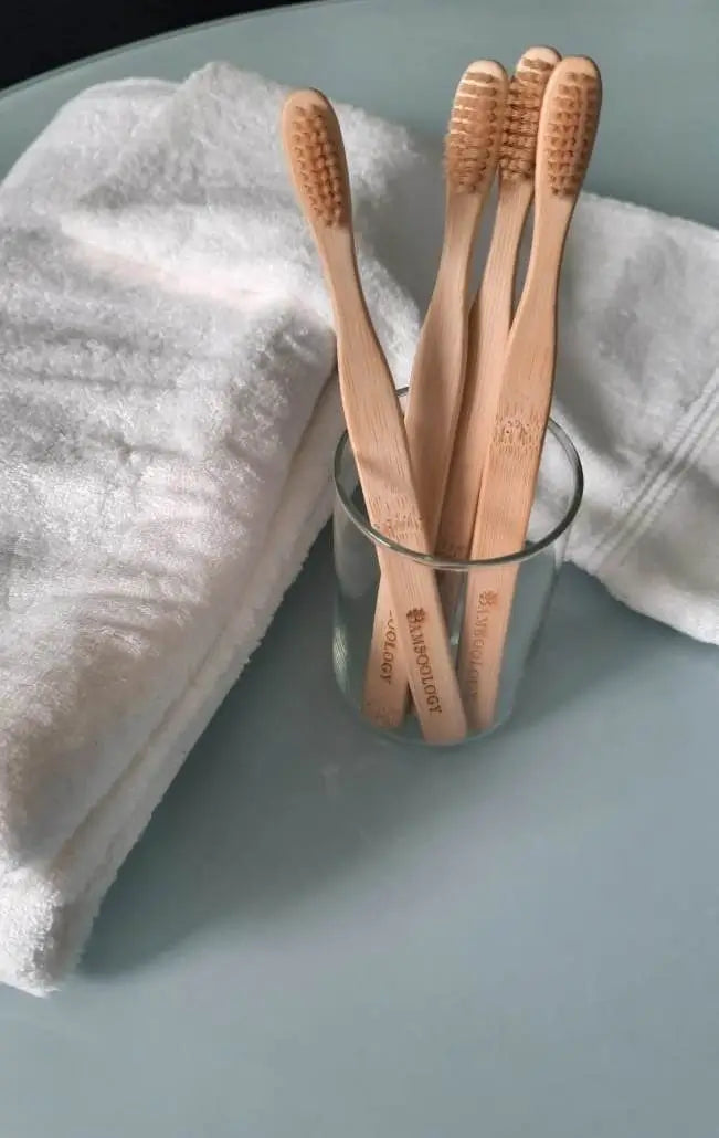 https://cdn.shopify.com/s/files/1/0641/9893/4752/files/BambooToothbrushWithPlantBasedBristlesPackof4-4_9c01e7b0-9583-4eb4-b79f-f28e37cd5235.webp?v=1787041196