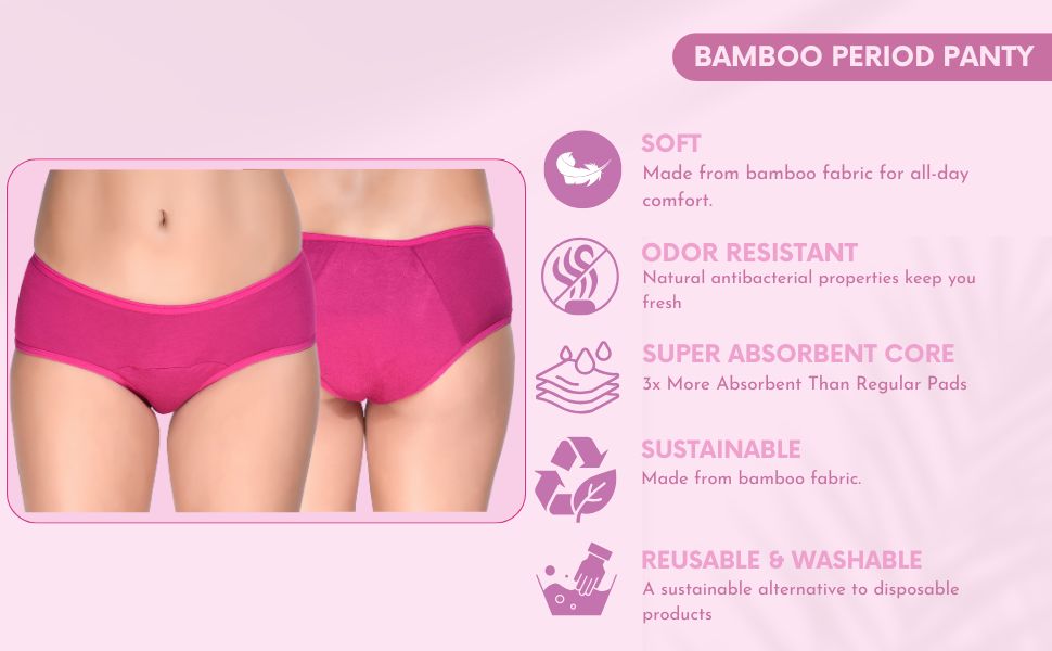 Bamboo Fabric Reusable Period Panty 5 Layer – Absorbent & Leak Proof - Pack Of 1