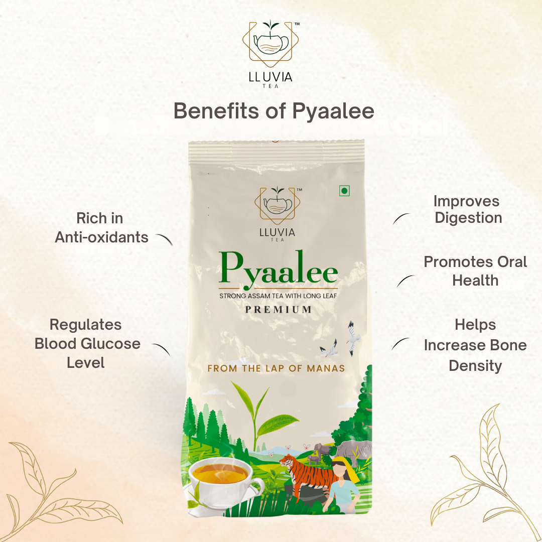 Lluvia Tea Daily Essential Tea Combo| Pyaalee Premium 250g| Kadak Masala 75g